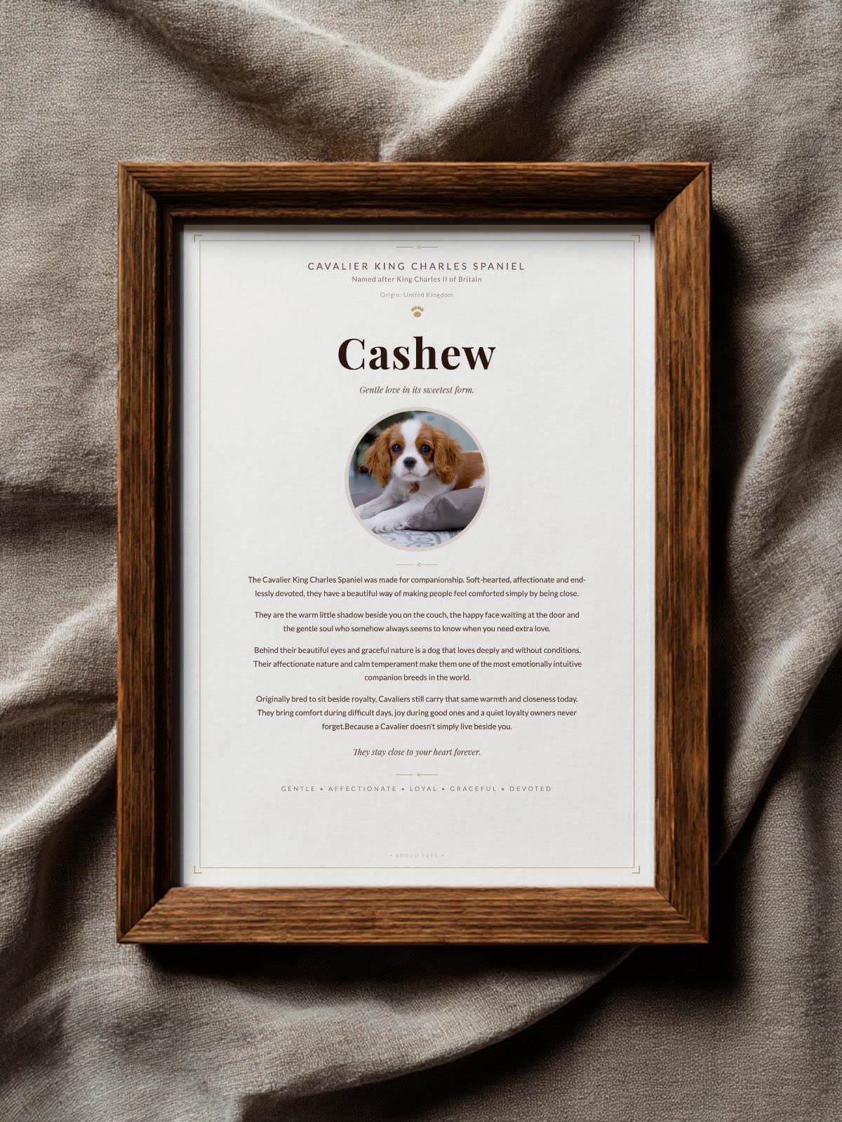 Cashew the Cavalier King Charles Spaniel Proud Pets print in dark oak frame on linen