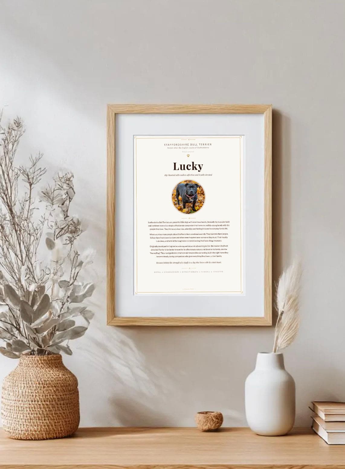 Lucky the Staffordshire Bull Terrier Proud Pets print in oak frame on styled shelf